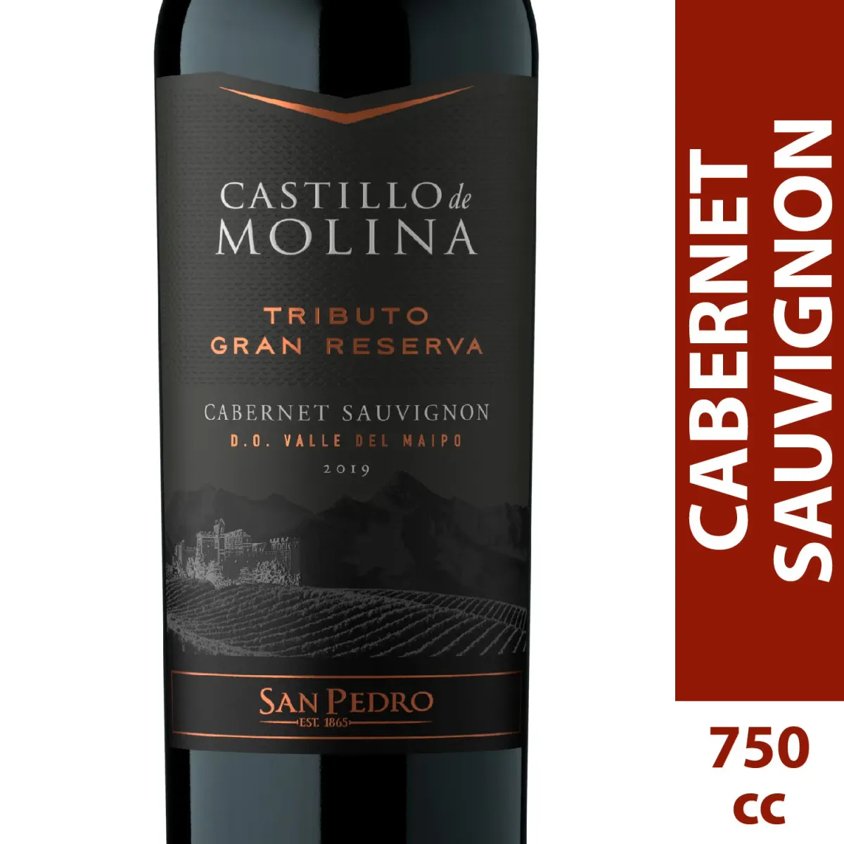 Vino Castillo De Molina Cabernet Souviñon 750cc
