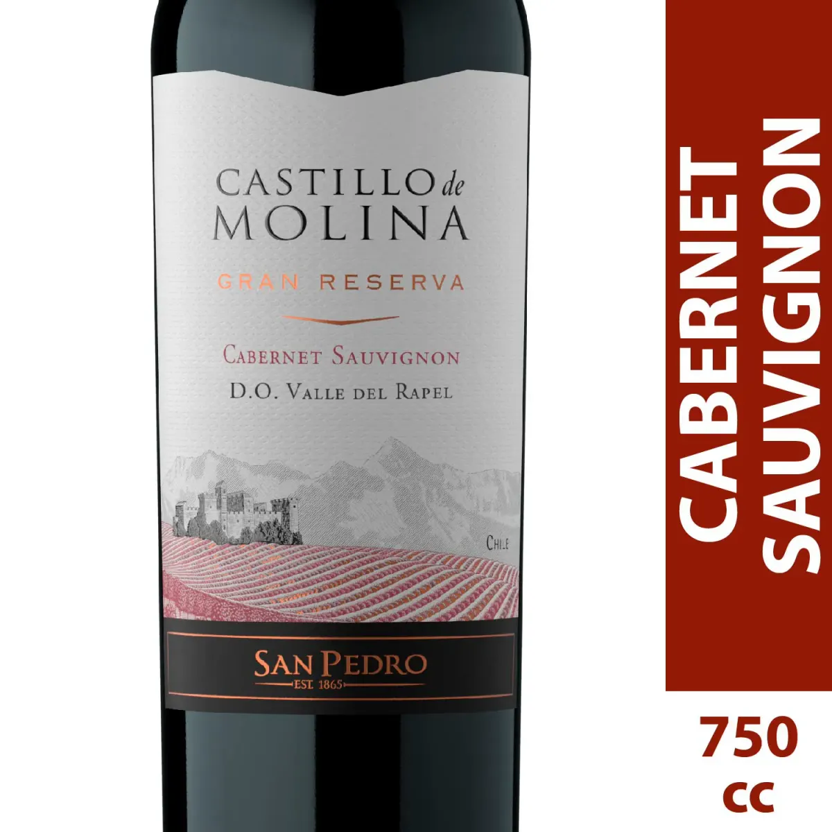 Vino Castillo De Molina Reserva 750cc