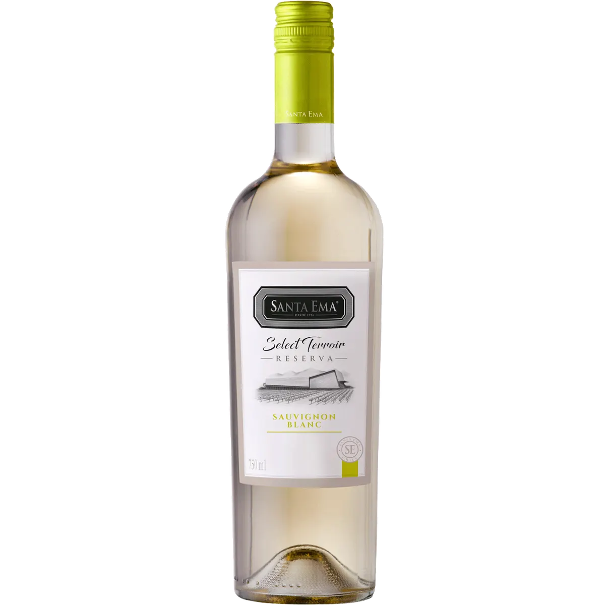 Vino Chicha Bot 2lt