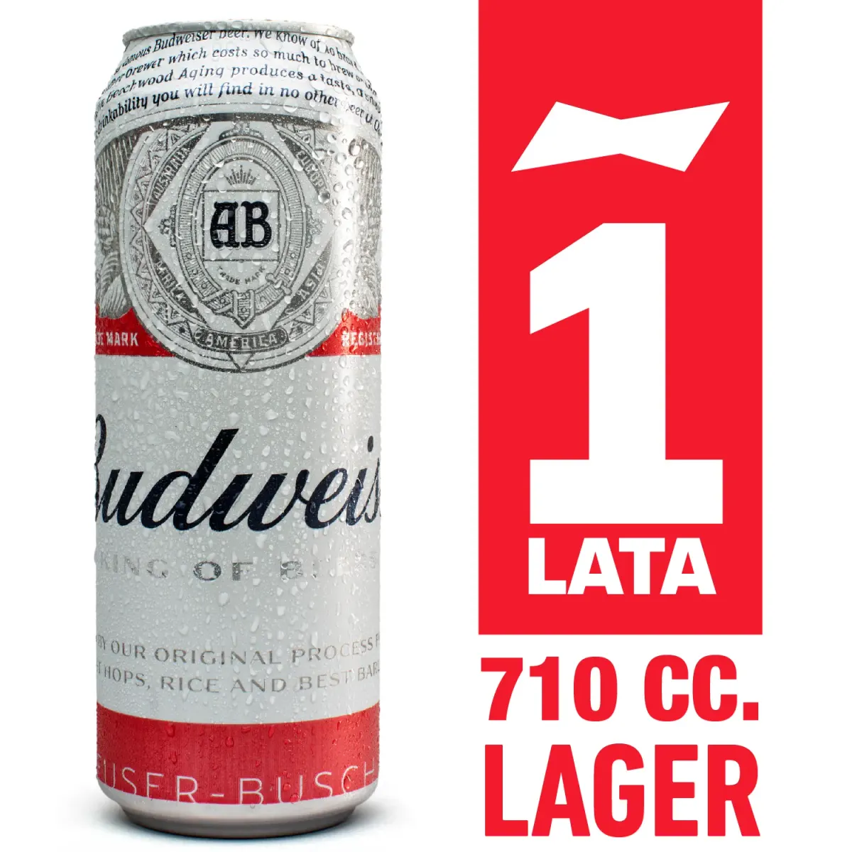 Cerveza Cactus